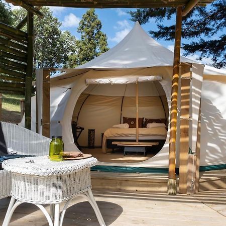 Hotel Kerikeri Glamping Exteriér fotografie