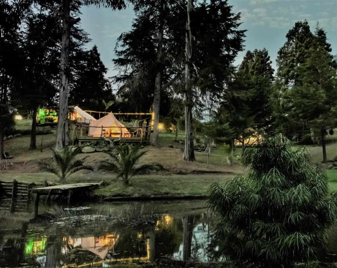 Hotel Kerikeri Glamping Exteriér fotografie
