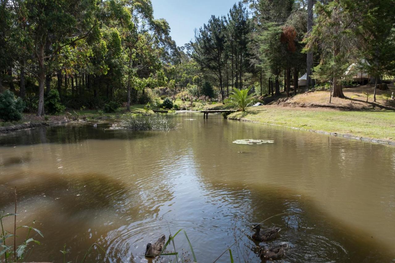 Hotel Kerikeri Glamping Exteriér fotografie