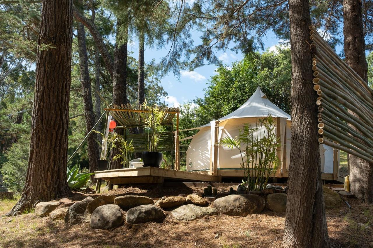 Hotel Kerikeri Glamping Exteriér fotografie