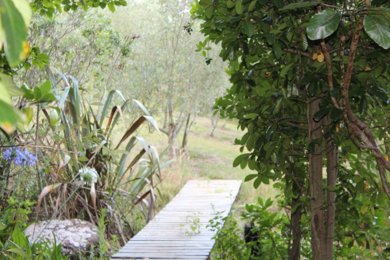 Hotel Kerikeri Glamping Exteriér fotografie
