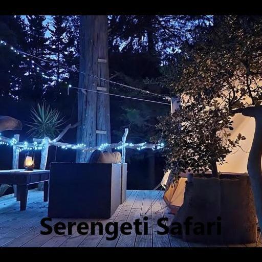Hotel Kerikeri Glamping Exteriér fotografie